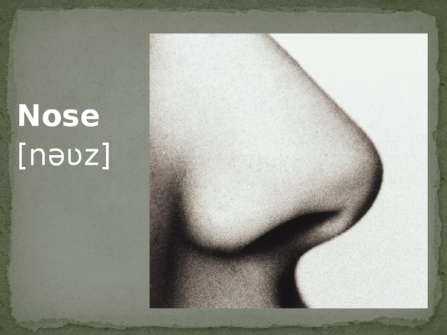 Nose [nəʋz]