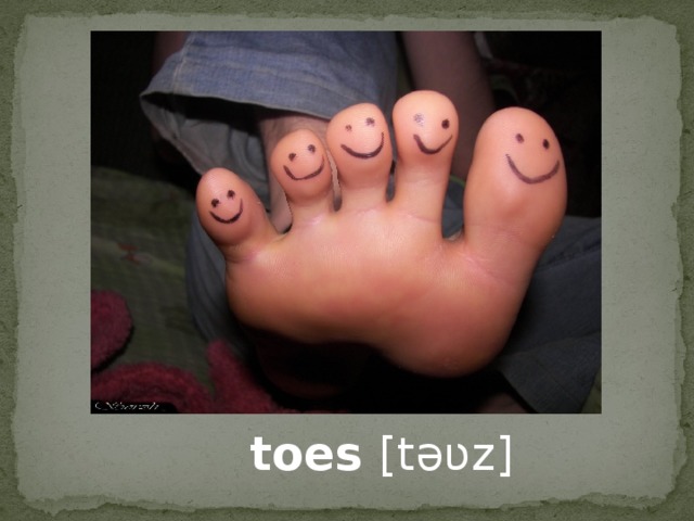 toes [təʋz]