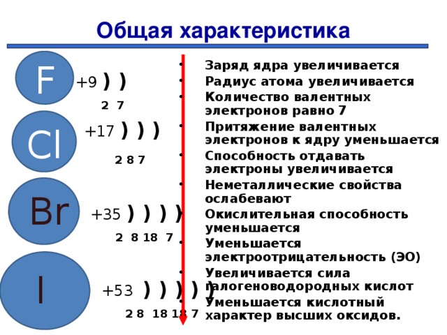 Общая характеристика F Заряд ядра увеличивается Радиус атома увеличивается Количество валентных электронов равно 7 Притяжение валентных электронов к ядру уменьшается Способность отдавать электроны увеличивается Неметаллические свойства ослабевают Окислительная способность уменьшается Уменьшается электроотрицательность (ЭО) Увеличивается сила галогеноводородных кислот Уменьшается кислотный характер высших оксидов.   +9 ) )  2 7  +17 ) ) )    2 8 7      +35 ) ) ) )  2 8 18 7  +53 ) ) ) ) )  2 8 18 18 7 Cl Br I