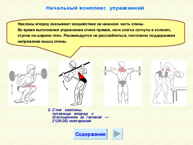 Начальный комплекс упражнений Наклоны вперед оказывают воздействие на нижнюю часть спины. Во время выполнения упражнения спина прямая, ноги слегка согнуты в коленях, ступни на ширине плеч. Рекомендуется не расслабляться, постоянно поддерживая напряжение мышц спины. 2 . Стоя наклоны,  туловища вперед с  отягощением за головой —  2*(20-30) повторений  . Содержание