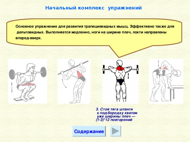 Начальный комплекс упражнений Основное упражнение для развития трапециевидных мышц. Эффективно также для  дельтовидных. Выполняется медленно, ноги на ширине плеч, локти направлены вперед-вверх. 3. Стоя тяга штанги  к подбородку хватом  уже ширины плеч — (1-3)*12 повторений Содержание