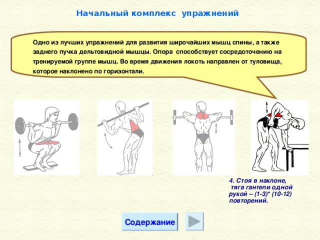 Начальный комплекс упражнений Одно из лучших упражнений для развития широчайших мышц спины, а также заднего пучка дельтовидной мышцы. Опора способствует сосредоточению на тренируемой группе мышц. Во время движения локоть направлен от туловища, которое наклонено по горизонтали. 4. Стоя в наклоне,  тяга гантели одной рукой – (1-3)* (10-12) повторений.  Содержание
