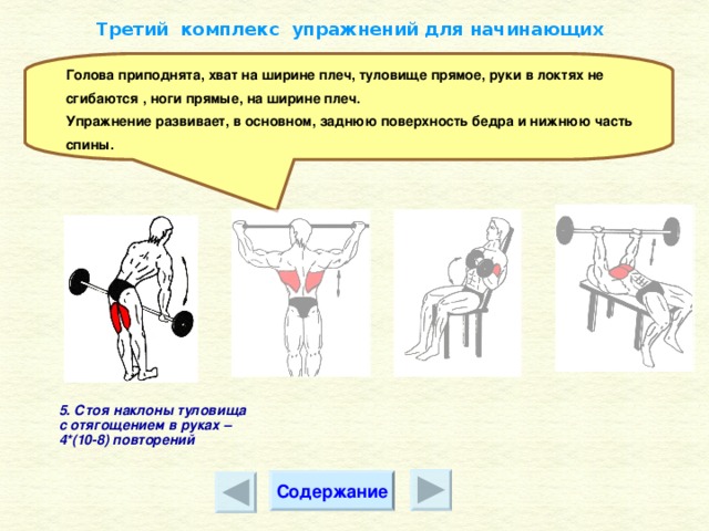 Третий комплекс упражнений для начинающих Голова приподнята, хват на ширине плеч, туловище прямое, руки в локтях не сгибаются , ноги прямые, на ширине плеч. Упражнение развивает, в основном, заднюю поверхность бедра и нижнюю часть спины. 5 . Стоя наклоны туловища с отягощением в руках – 4*(10-8) повторений Содержание