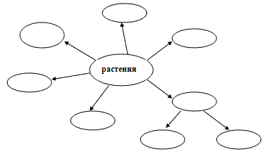 Рисунок 3 1 схема. Кластер растения. Кластер на тему растительный мир. Кластер человек и растения. Кластер на тему цветы.