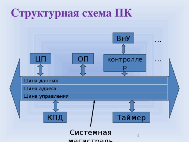 В состав информационной магистрали не входят шина данных контроллеры устройств процессор шина адреса