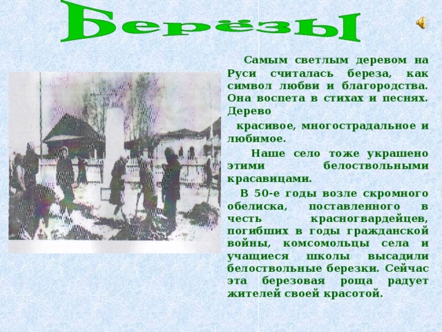 Самым светлым деревом на Руси считалась береза, как символ любви и благородства. Она воспета в стихах и песнях. Дерево  красивое, многострадальное и любимое.  Наше село тоже украшено этими белоствольными красавицами.  В 50-е годы возле скромного обелиска, поставленного в честь красногвардейцев, погибших в годы гражданской войны, комсомольцы села и учащиеся школы высадили белоствольные березки. Сейчас эта березовая роща радует жителей своей красотой.