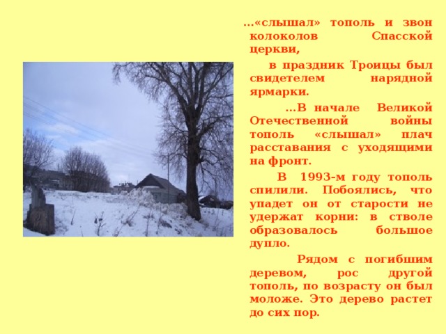 … «слышал» тополь и звон колоколов Спасской церкви,  в праздник Троицы был свидетелем нарядной ярмарки. … В начале Великой Отечественной войны тополь «слышал» плач расставания с уходящими на фронт.  В 1993-м году тополь спилили. Побоялись, что упадет он от старости не удержат корни: в стволе образовалось большое дупло.  Рядом с погибшим деревом, рос другой тополь, по возрасту он был моложе. Это дерево растет до сих пор.