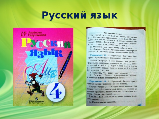 Русский язык 6 класс галунчикова