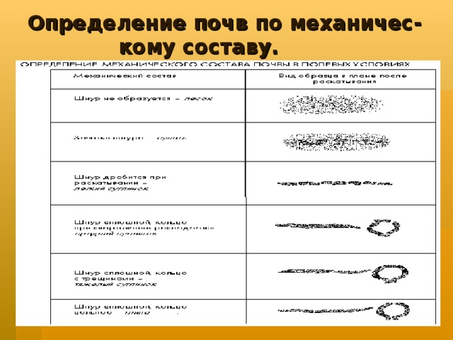 Определение почв по механичес-  кому составу.