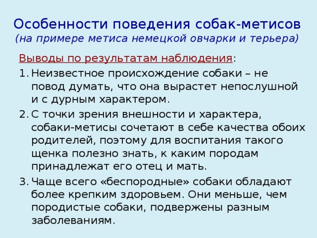 Особенности поведения собак-метисов  (на примере метиса немецкой овчарки и терьера) Выводы по результатам наблюдения :