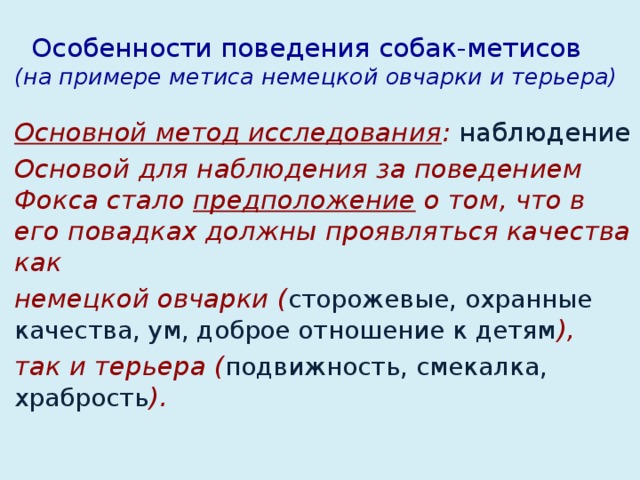 Особенности поведения собак-метисов  (на примере метиса немецкой овчарки и терьера)  Основной метод исследования : наблюдение Основой для наблюдения за поведением Фокса стало предположение о том, что в его повадках должны проявляться качества как немецкой овчарки ( сторожевые, охранные качества, ум, доброе отношение к детям ), так и терьера ( подвижность, смекалка, храбрость ).