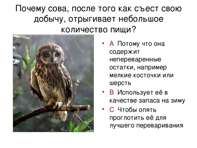 Картинки в строчке расставлены так как происходят события в сказке после того как сова обиделась