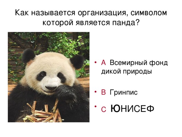 Как называется организация, символом которой является панда?