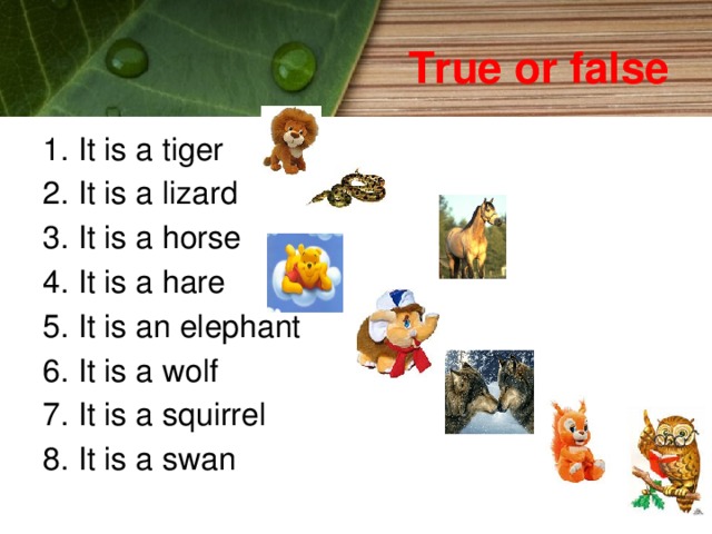 True or false 1. It is a tiger 2. It is a lizard 3. It is a horse 4. It is a hare 5. It is an elephant 6. It is a wolf 7. It is a squirrel 8. It is a swan