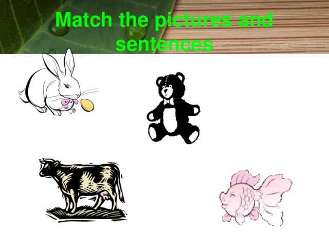Match the pictures and sentences