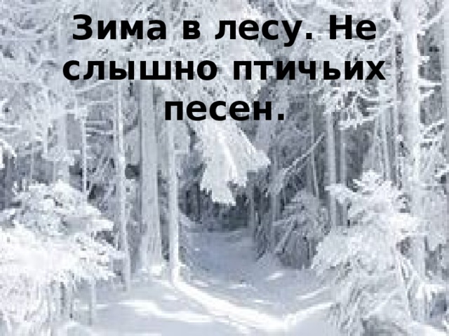 Зима в лесу. Не слышно птичьих песен.
