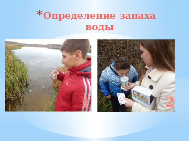 Определение запаха воды