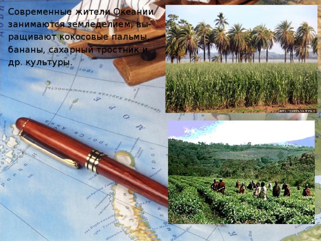 Современные жители Океании занимаются земледелием, вы- ращивают кокосовые пальмы, бананы, сахарный тростник и др. культуры.
