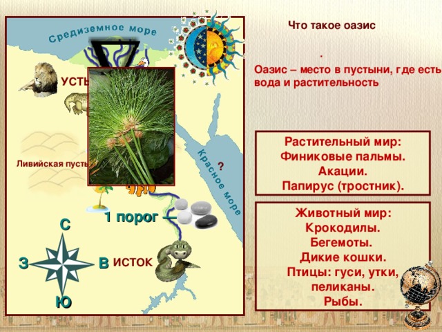 Нил Что такое оазис . Оазис – место в пустыни, где есть вода и растительность УСТЬЕ Растительный мир: Финиковые пальмы. Акации. Папирус (тростник). Ливийская пустыня ? Животный мир: Крокодилы. Бегемоты. Дикие кошки. Птицы: гуси, утки, пеликаны. Рыбы. 1 порог —   C  З В   Ю ИСТОК