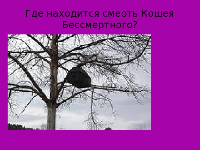 Где находится смерть Кощея Бессмертного?