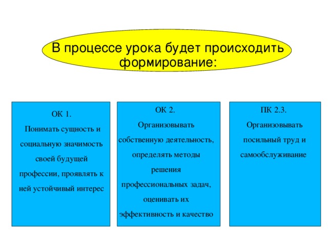 В процессе урока будет происходить формирование: ОК 2. Организовывать собственную деятельность, определять методы решения профессиональных задач, оценивать их эффективность и качество ПК 2.3. Организовывать посильный труд и самообслуживание ОК 1.  Понимать сущность и социальную значимость своей будущей профессии, проявлять к ней устойчивый интерес