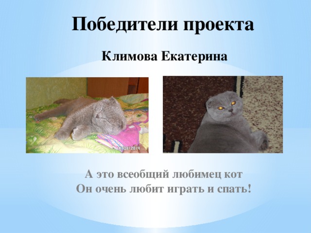 Победители проекта Климова Екатерина  А это всеобщий любимец кот Он очень любит играть и спать!
