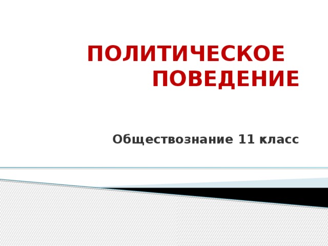 Общество 11 класс политическое поведение презентация