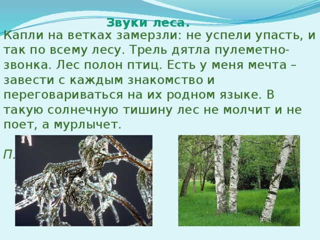 Звуки леса. Капли на ветках замерзли: не успели упасть, и так по всему лесу. Трель дятла пулеметно-звонка. Лес полон птиц. Есть у меня мечта – завести с каждым знакомство и переговариваться на их родном языке. В такую солнечную тишину лес не молчит и не поет, а мурлычет.  П.Маракулин