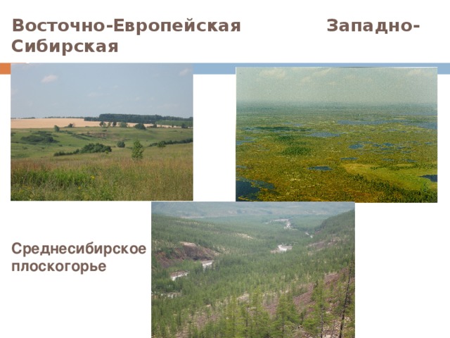 Восточно-Европейская Западно- Сибирская  равнина равнина Среднесибирское плоскогорье