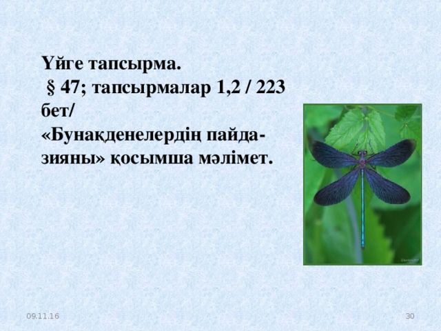 Үйге тапсырма.  § 47; тапсырмалар 1,2 / 223 бет/ «Бунақденелердің пайда-зияны» қосымша мәлімет. 09.11.16