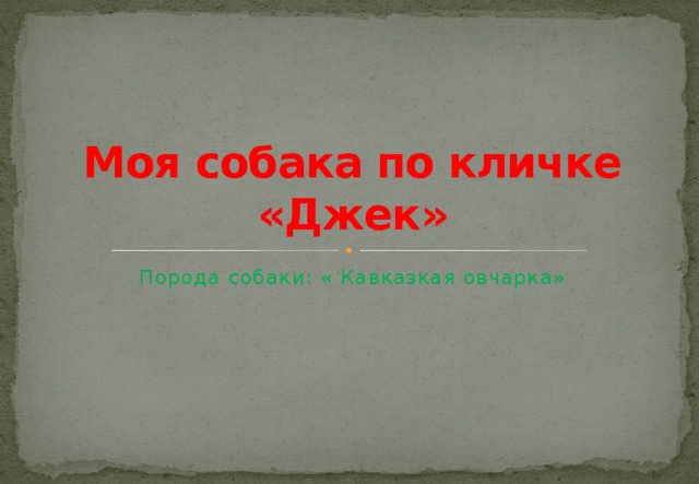 Моя собака по кличке «Джек» Порода собаки: « Кавказкая овчарка»