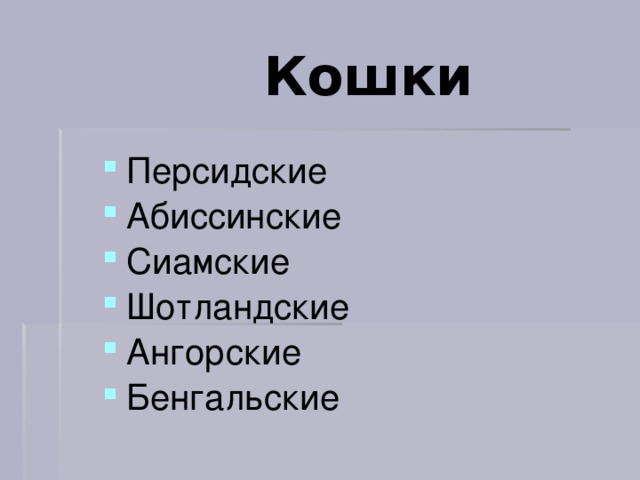 Кошки