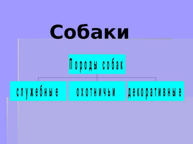 Собаки