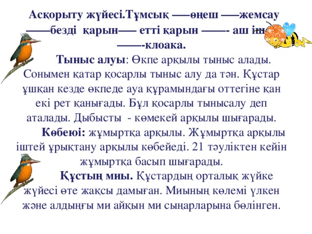 Асқорыту жүйесі.Тұмсық —–өңеш —–жемсау——безді  қарын—– етті қарын ——- аш ішек ——-клоака.  Тыныс алуы : Өкпе арқылы тыныс алады. Сонымен қатар қосарлы тыныс алу да тән. Құстар ұшқан кезде өкпеде ауа құрамындағы оттегіне қан екі рет қанығады. Бұл қосарлы тынысалу деп аталады. Дыбысты  - көмекей арқылы шығарады.   Көбеюі: жұмыртқа арқылы. Жұмыртқа арқылы іштей ұрықтану арқылы көбейеді. 21 тәуліктен кейін жұмыртқа басып шығарады.  Құстың миы.  Құстардың орталық жүйке жүйесі өте жақсы дамыған. Миының көлемі үлкен және алдыңғы ми айқын ми сыңарларына бөлінген.