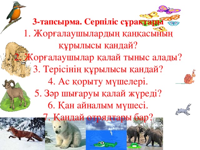 3-тапсырма. Серпіліс сұрақтары  1. Жорғалаушылардың қаңқасының құрылысы қандай?  2. Жорғалаушылар қалай тыныс алады?  3. Терісінің құрылысы қандай?  4. Ас қорыту мүшелері.  5. Зәр шығаруы қалай жүреді?  6. Қан айналым мүшесі.  7. Қандай отрядтары бар?