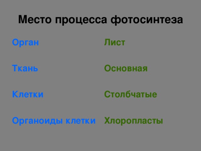 Место процесса фотосинтеза Орган  Ткань  Клетки  Органоиды клетки Лист  Основная  Столбчатые  Хлоропласты