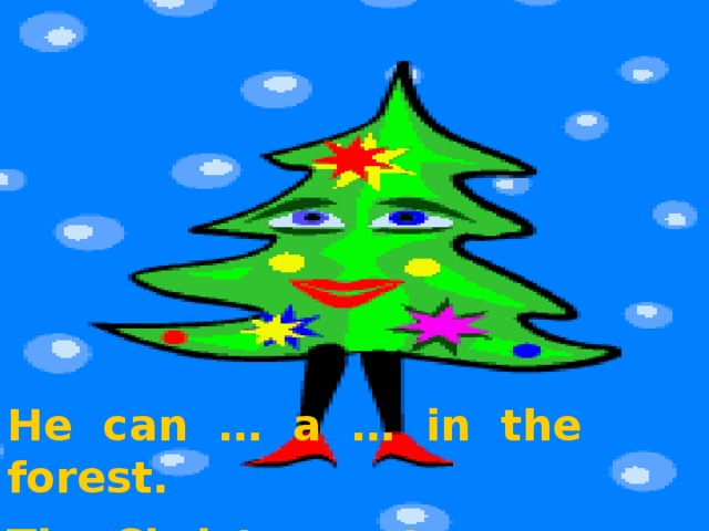 He can … a … in the forest. The Christmas tree …