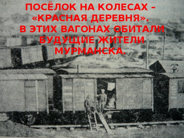 ПОСЁЛОК НА КОЛЕСАХ – «КРАСНАЯ ДЕРЕВНЯ». В ЭТИХ ВАГОНАХ ОБИТАЛИ БУДУЩИЕ ЖИТЕЛИ МУРМАНСКА.