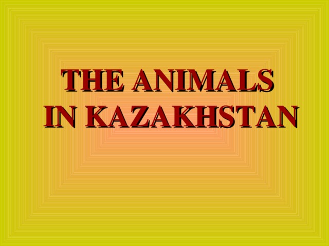 THE ANIMALS   IN KAZAKHSTAN