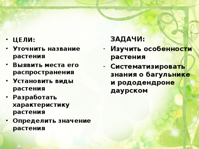 ЗАДАЧИ: Изучить особенности растения Систематизировать знания о багульнике и рододендроне даурском ЦЕЛИ: Уточнить название растения Выявить места его распространения Установить виды растения Разработать характеристику растения Определить значение растения