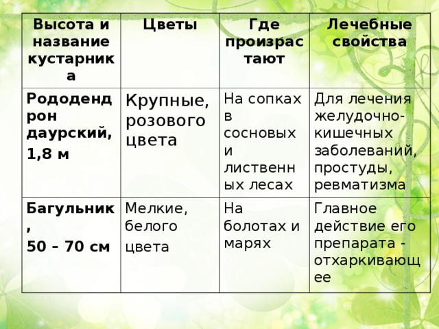 Высота и название кустарника Цветы Рододендрон даурский, 1,8 м Крупные, розового цвета Багульник, 50 – 70 см Где произрастают Мелкие, белого цвета Лечебные свойства На сопках в сосновых и лиственных лесах Для лечения желудочно-кишечных заболеваний, простуды, ревматизма На болотах и марях Главное действие его препарата - отхаркивающее