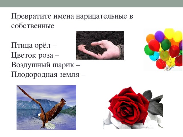 Превратите имена нарицательные в собственные Птица орёл –  Цветок роза –  Воздушный шарик –  Плодородная земля –