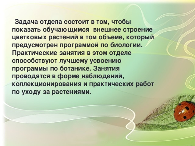 Задача отдела состоит в том, чтобы показать обучающимся внешнее строение цветковых растений в том объеме, который предусмотрен программой по биологии. Практические занятия в этом отделе способствуют лучшему усвоению программы по ботанике. Занятия проводятся в форме наблюдений, коллекционирования и практических работ по уходу за растениями.