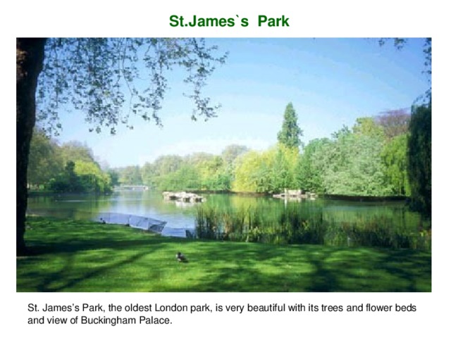 S t .J ames ` s P ark St. James’s Park, the oldest London park, is very beautiful with its trees and flower beds and view of Buckingham Palace.