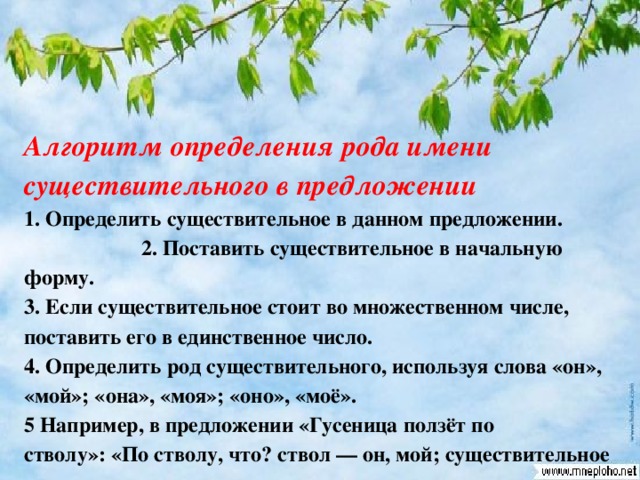 Особенности рода имен существительных в русском языке 3 класс родной язык презентация