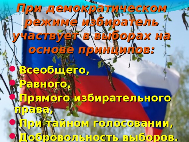 При демократическом режиме избиратель участвует в выборах на основе принципов: