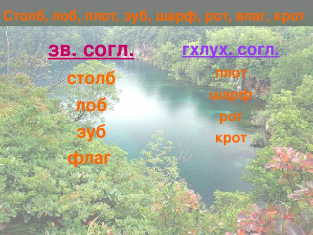 Столб, лоб, плот, зуб, шарф, рот, влаг, крот зв. согл. столб лоб зуб флаг  гхлух. согл. плот шарф рот крот