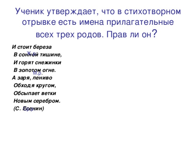 Ученик утверждает. Сонная тишина падеж. Ученик утверждает что. И стоит берёза в сонной тишине, падеж прилагательного. Сонные Березки падеж прилагательного.