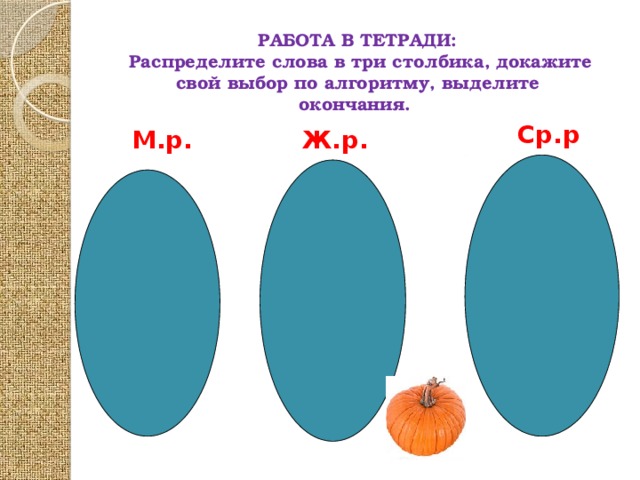 РАБОТА В ТЕТРАДИ:  Распределите слова в три столбика, докажите свой выбор по алгоритму, выделите окончания. Ср.р Ж.р. М.р.