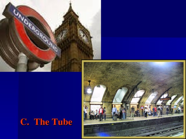 C.  The Tube